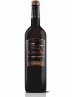 VINHO RAMIRANA RESERVA MAIPO CARMENERE 750 ML