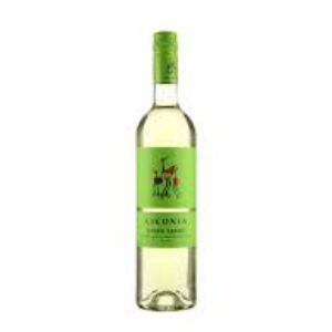 VINHO BRANCO CICONIA ALENTEJANO 750 ML