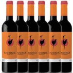 KIT 6 VINHOS CICONIA TT 750 ML