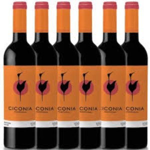 KIT 6 VINHOS CICONIA TT 750 ML