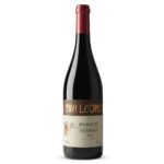 VINHO TINTO RIVA LEONE PIEMONTE BARBERA 750 ML